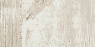 pino casaaaaaaaa CANTO A.B.S PINO CASCINA - Imagen 1