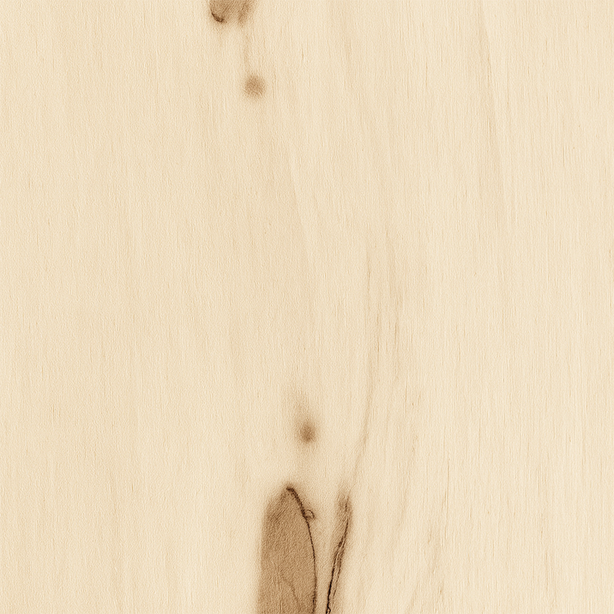 madera-de-alamo Madera de Álamo - Imagen 1